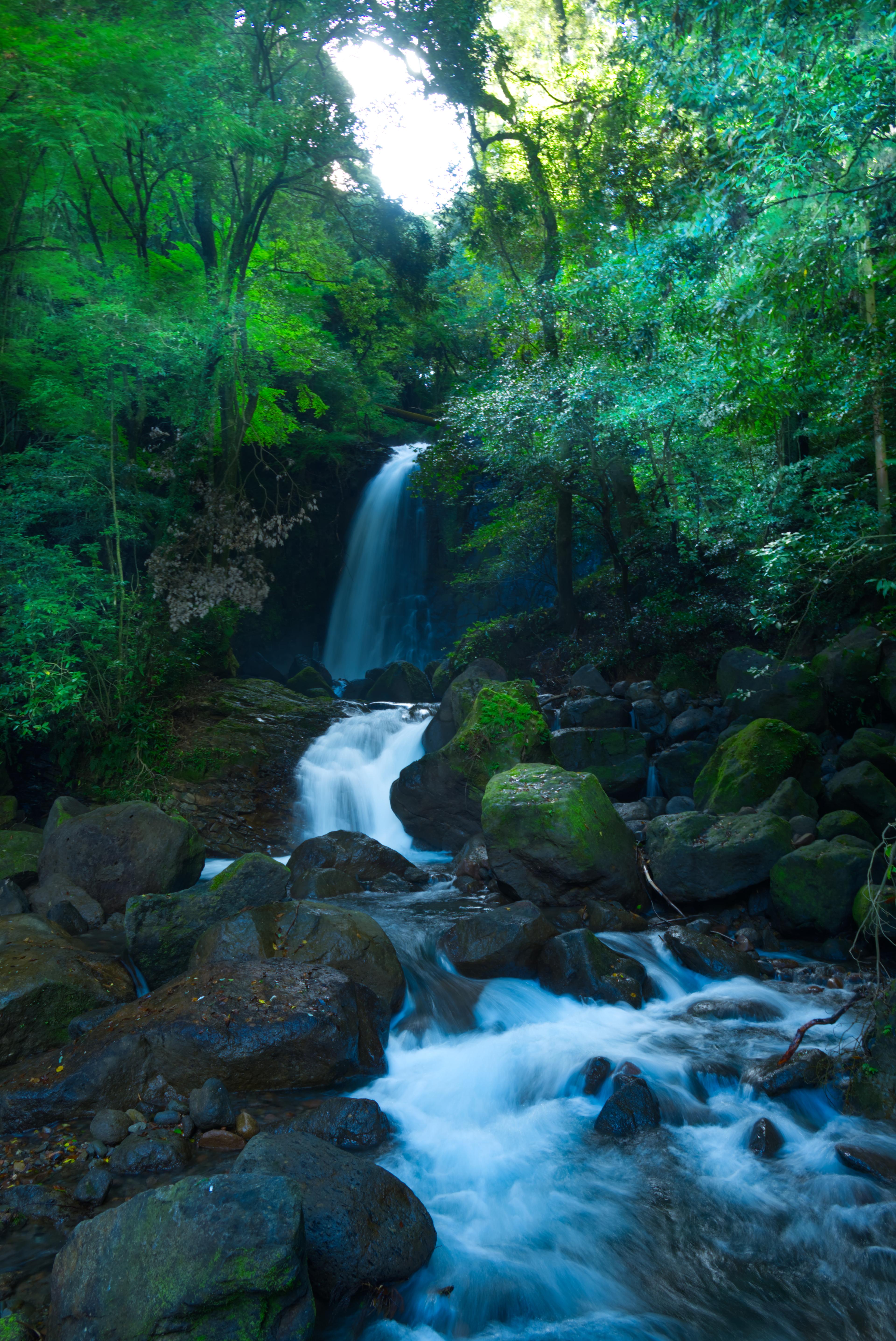 熊本県にある白糸の滝